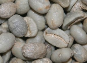 зеленый кофе органика