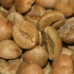 зеленый кофе робуста индия черри